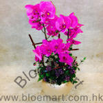 Standard Artificial Flower - CODE 8128